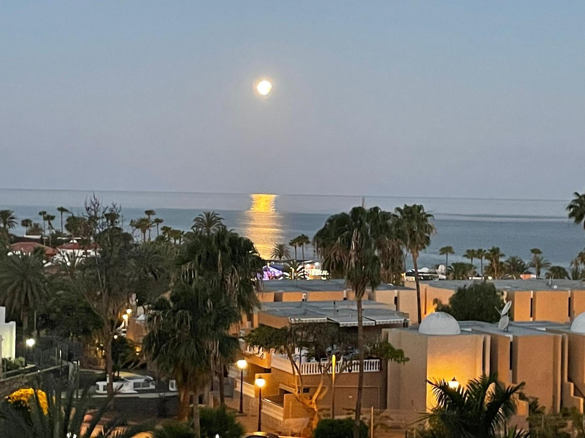 Pretty View Borinquen Playa De Las Americas Playa Feñabe Rum bild